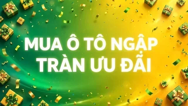 Địa điểm hỗ trợ xem xe tại Bạc Liêu